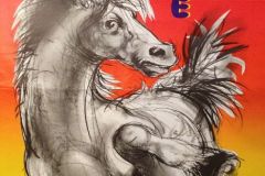 erni5