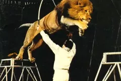 programme du cirque National Suisse Knie 1974 avec:Janusz Skup / orchestreFranco Knie senior / ânes nains et poneys monté par des singesLittle Teddy, Little Ferry, Kuba, Gaston et Juanito Rivel / clownsTroupe Alexandrovi / basculeFranco Knie senior / exotiques Chameaux sibériens, lamas, alpagas,chevaux tigré danois, poneys tigrés et zebroideLes Hermanis / diabolosFredy Knie junior / chevauxBronley's Space-Rocket / aériens sur fuséeThe Yong Brothers / equilibreLouis Knie senior / éléphantsHalina Lesniewska / corde volanteDaniel Suskow / fauves lions du cirque Jean-RichardEntracteThe Balcans / trampolineRudy Horn / equilibre et jonglage sur monocycleMary_José et Fredy Knie junior / haute écoleRolf Knie junior / cheval rebelleLes Chickys / clownsDuo Dobritch / percheFredy Knie senior / chevauxFinal