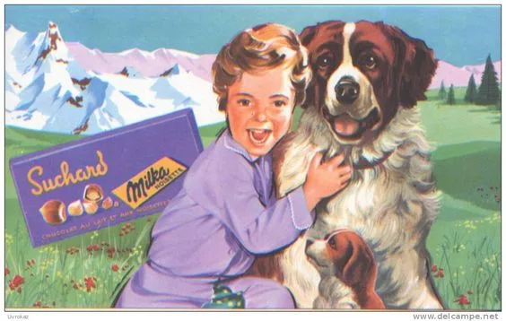 saint-bernard
