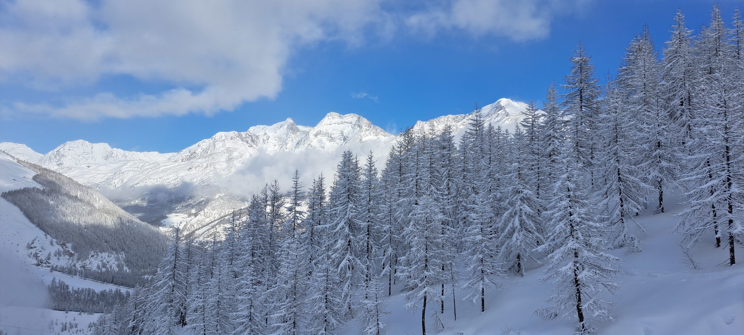 An enchanting landscape with snow on the fir trees beside the ski slopes of Saas-Fee in Switzerland